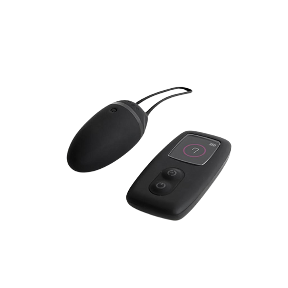 Bnaughty unleashed remote egg
