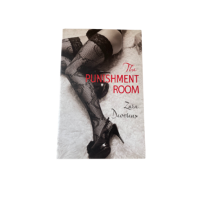 the punishment room paperback
