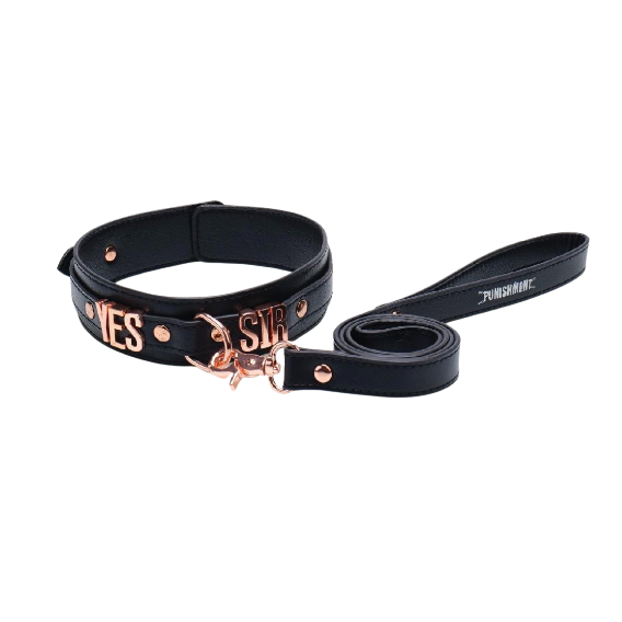 yes sir collar and leash for BDSM play