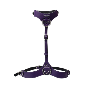 Hardware Chest Harness for BDSM play